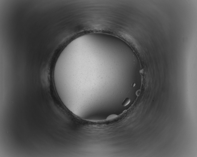 X0000089450680200706291443