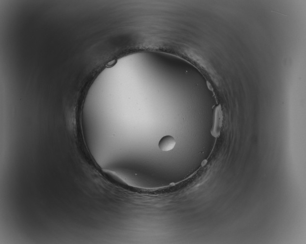 X0000089450681200706291443