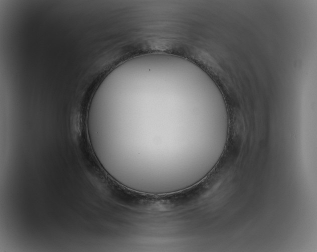 X0000089450683200706291443