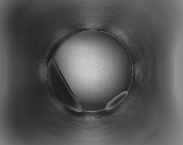 X0000089450684200706291443