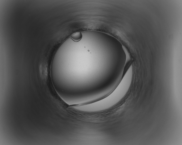X0000089450685200706291443