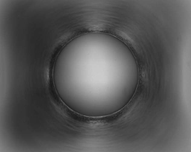 X0000089450686200706291443