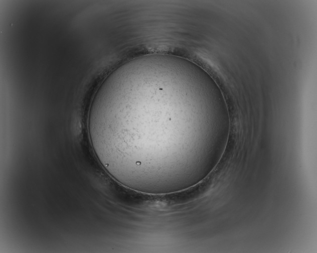 X0000089450687200706291443