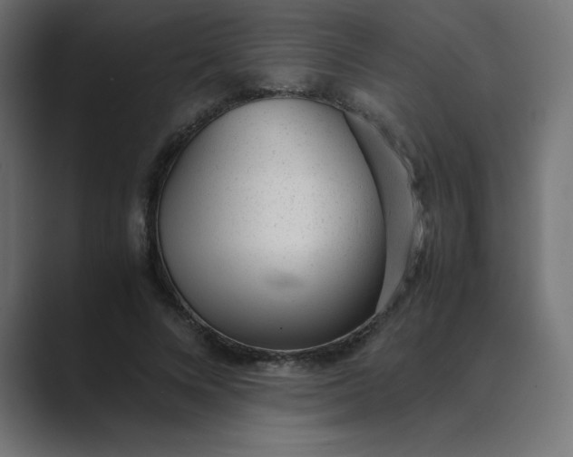 X0000089450688200706291443