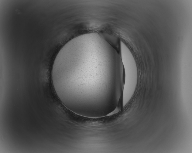 X0000089450689200706291443