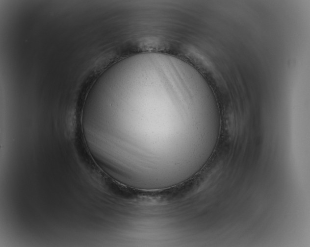 X0000089450690200706291443