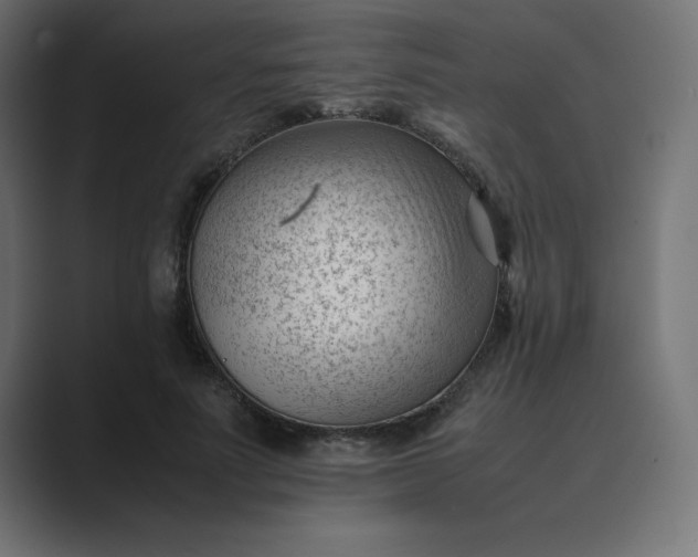 X0000089450691200706291443