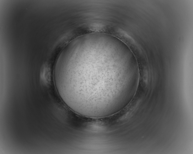 X0000089450696200706291443