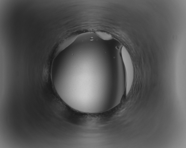 X0000089450697200706291443