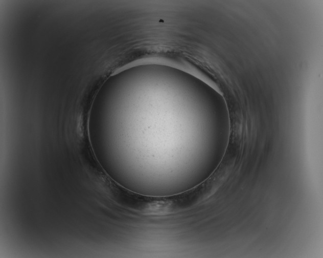 X0000089450700200706291443