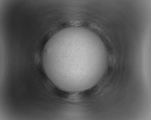 X0000089450705200706291443