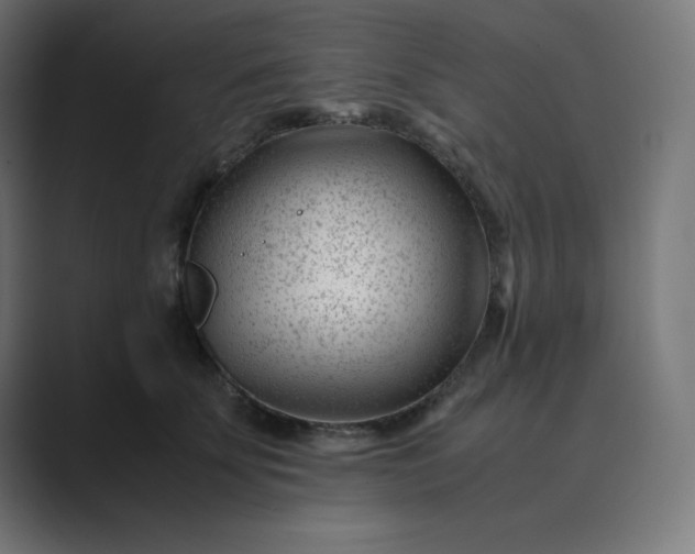 X0000089450707200706291443