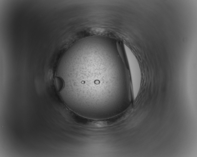 X0000089450711200706291443