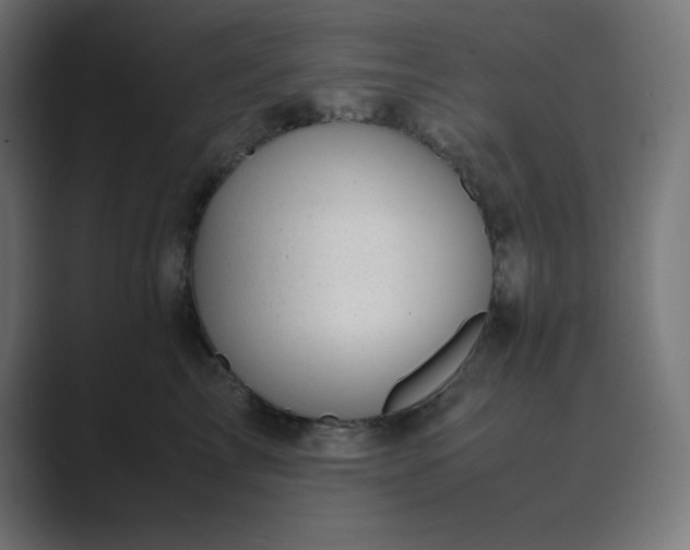 X0000089450713200706291443
