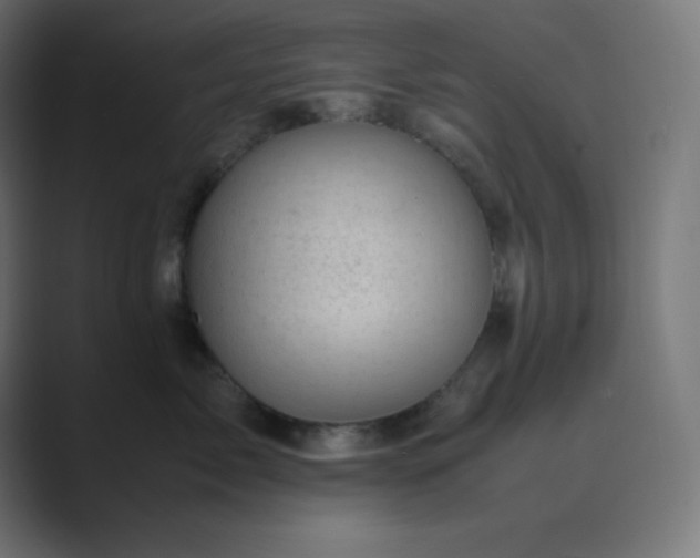 X0000089450717200706291443