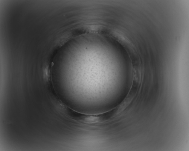 X0000089450718200706291443
