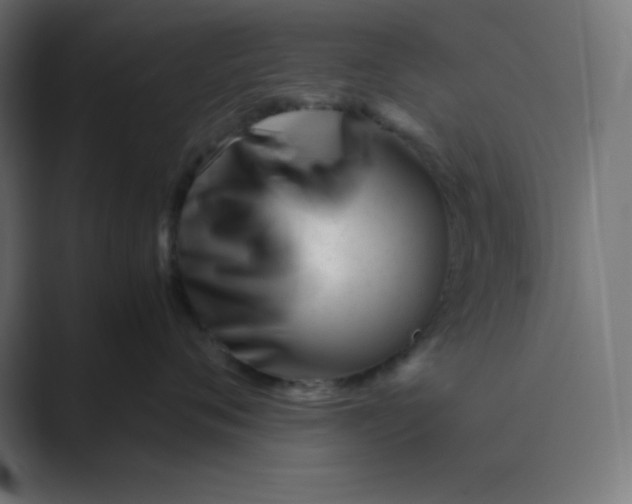 X0000089450720200706291443
