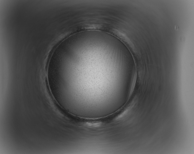 X0000089450721200706291442