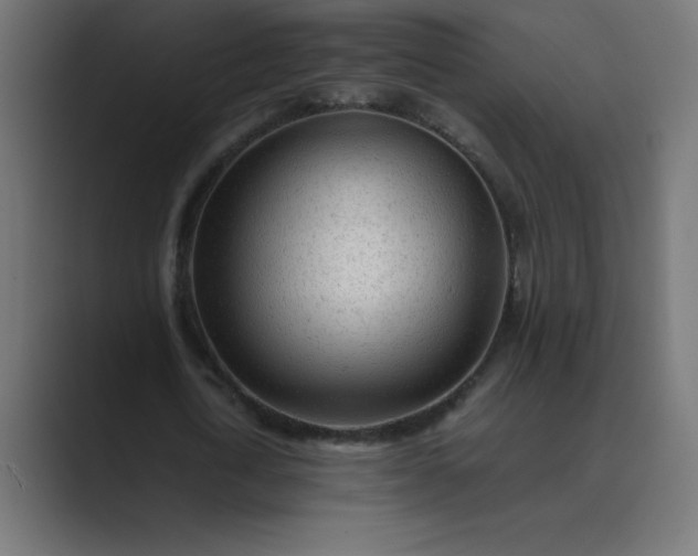 X0000089450722200706291442