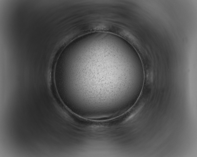 X0000089450725200706291442