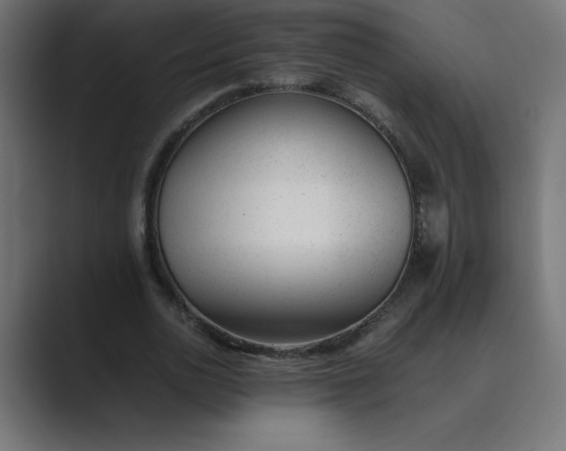 X0000089450726200706291442
