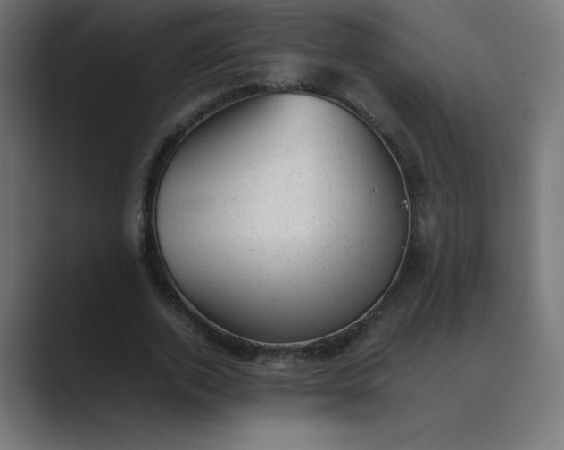 X0000089450728200706291442