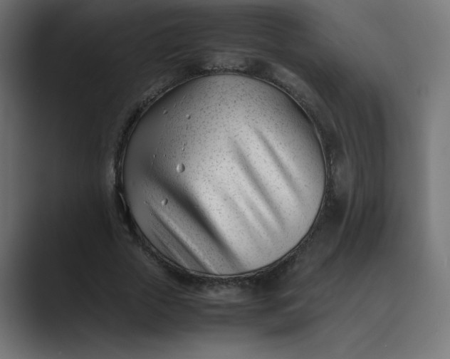 X0000089450729200706291442