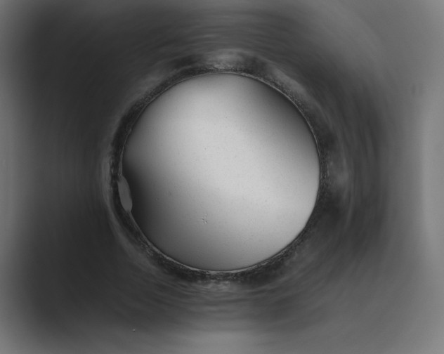 X0000089450730200706291442