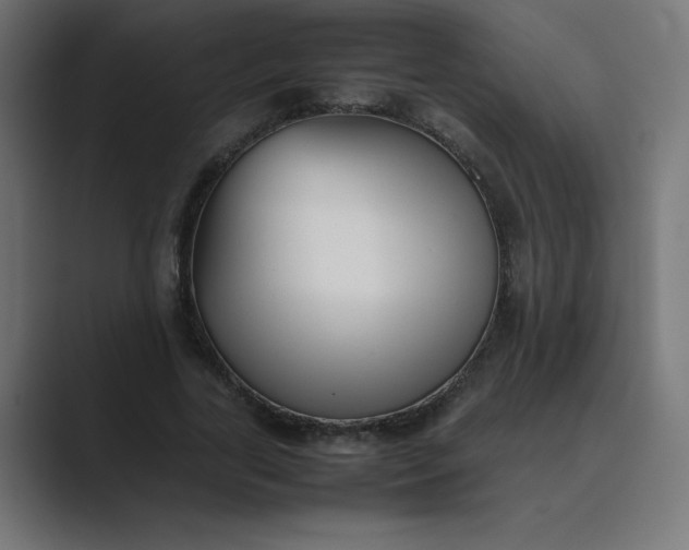 X0000089450731200706291443