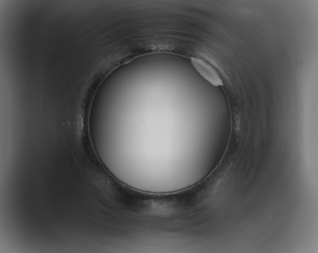 X0000089450733200706291443
