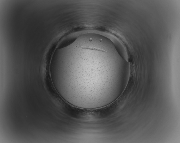 X0000089450736200706291443