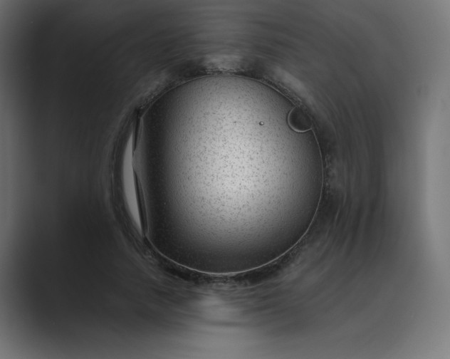 X0000089450738200706291443