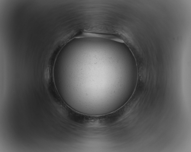 X0000089450740200706291443
