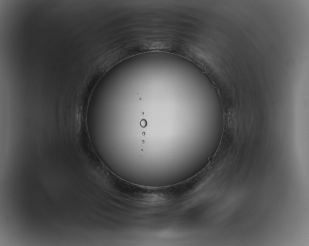 X0000089450741200706291443