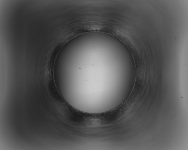 X0000089450743200706291443