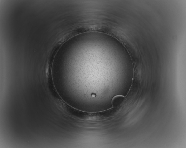 X0000089450746200706291443