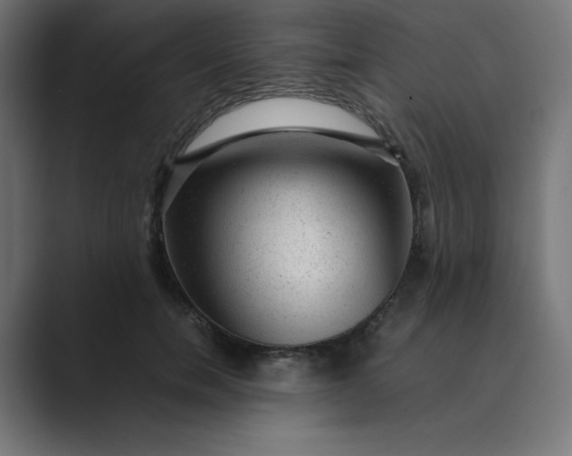 X0000089450750200706291443