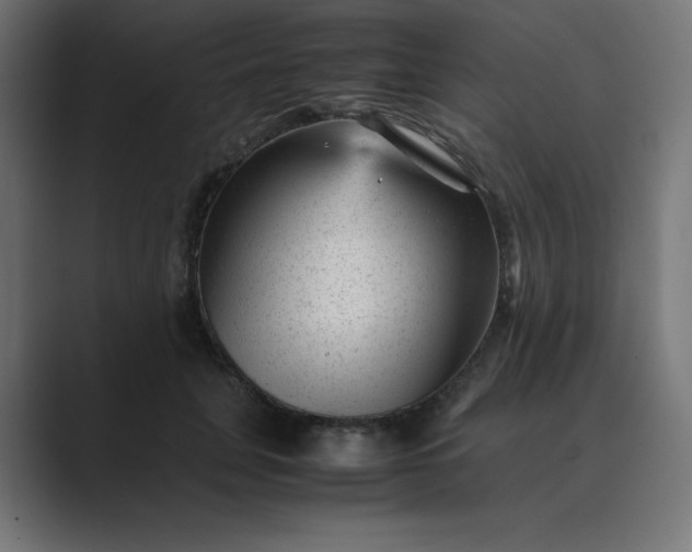 X0000089450751200706291443