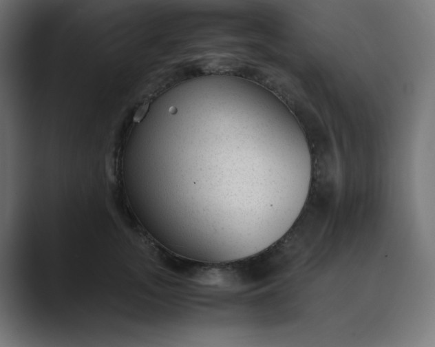 X0000089450755200706291443