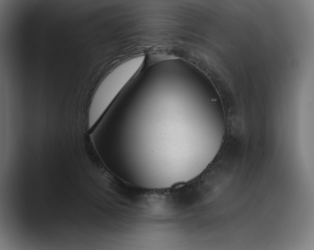 X0000089450756200706291443