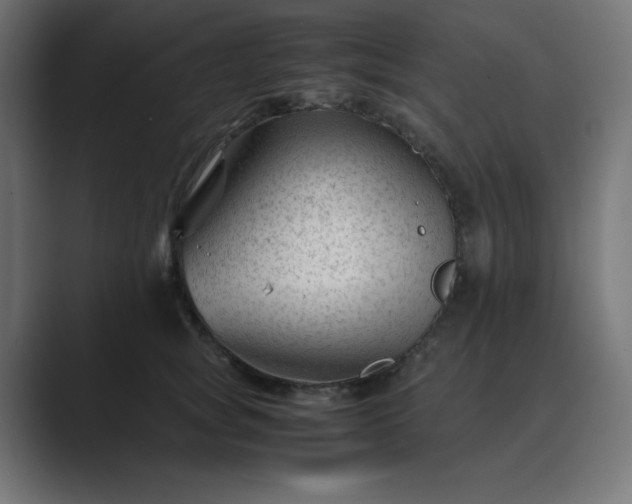 X0000089450757200706291443