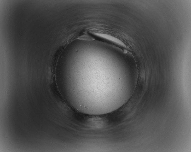 X0000089450759200706291443