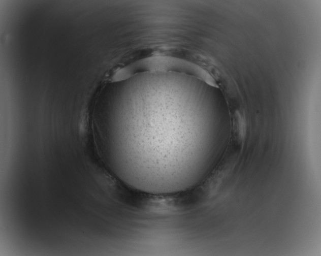 X0000089450760200706291443