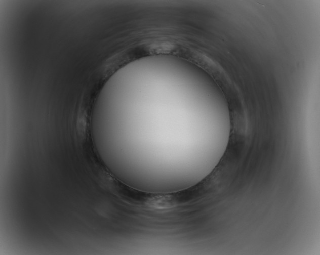 X0000089450761200706291443