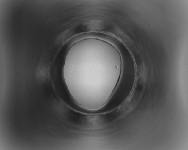 X0000089450762200706291443