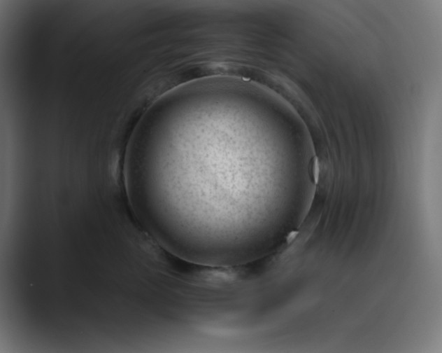 X0000089450765200706291443