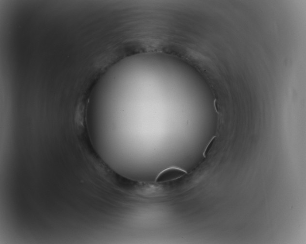 X0000089450768200706291443