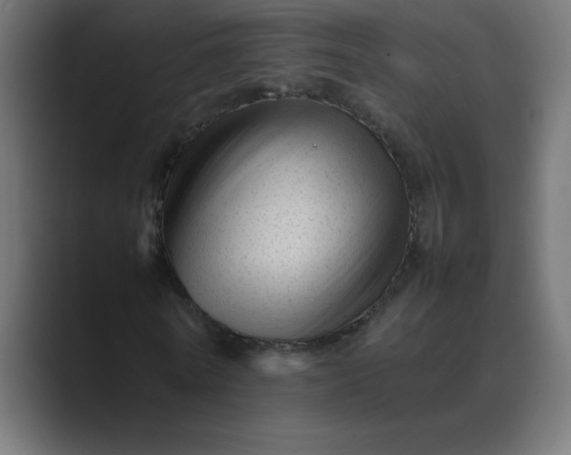 X0000089450770200706291442