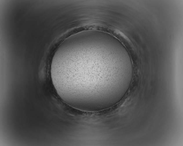 X0000089450775200706291442