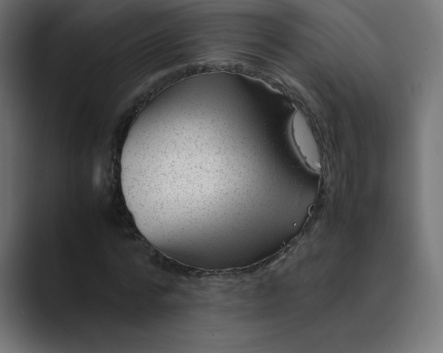 X0000089450776200706291442